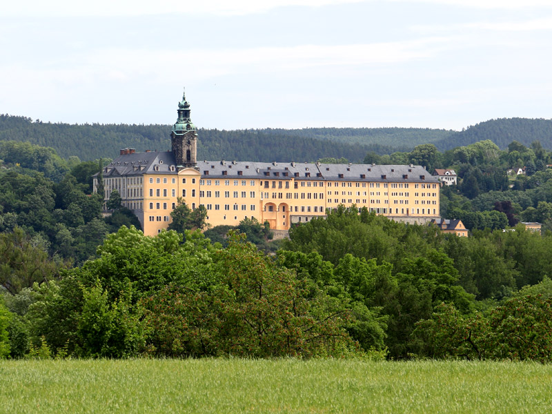 Die Heidecksburg.