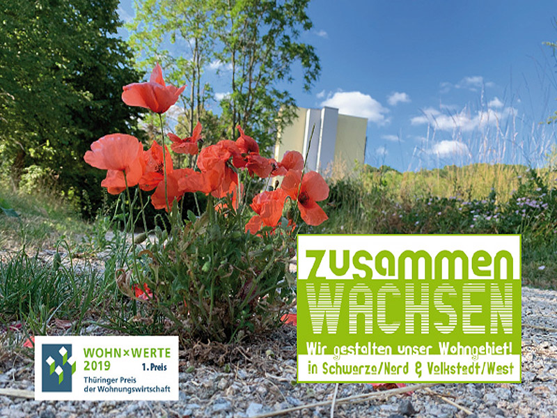 Initiative „ZusammenWachsen“