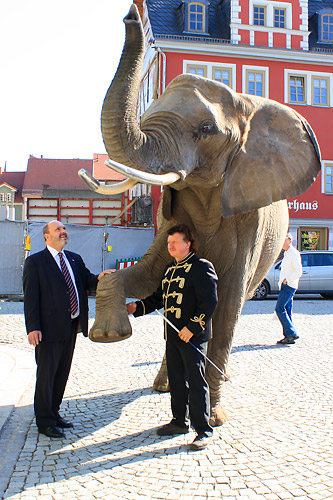 Foto: Alexander Stemplewitz 