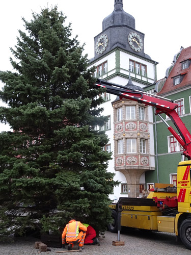 Mit dem Aufstellen des Weihnachtsbaums beginnen die Vorbereitungen zum Adventsmarkt "Schillers Weihnacht" in Rudolstadt. Foto: Frank M. Wagner