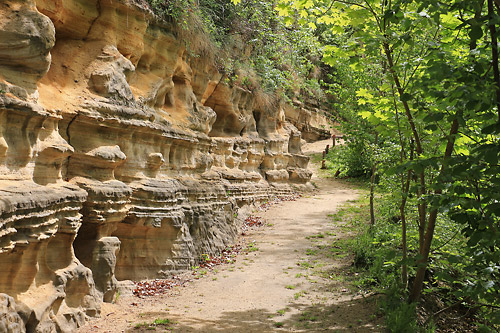 Die Rudolstädter Riviera ist ein beliebter Wanderweg entlang der Saale bei Volkstedt. Foto: Alexander Stemplewitz