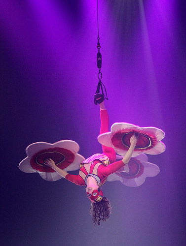 Foto: Circus Probst