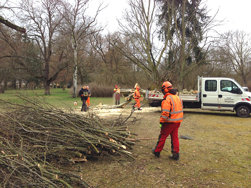 Mitarbeiter der Stadtverwaltung bei der Beseitigung der Schäden im Heinepark. Foto: Silvio Baumert