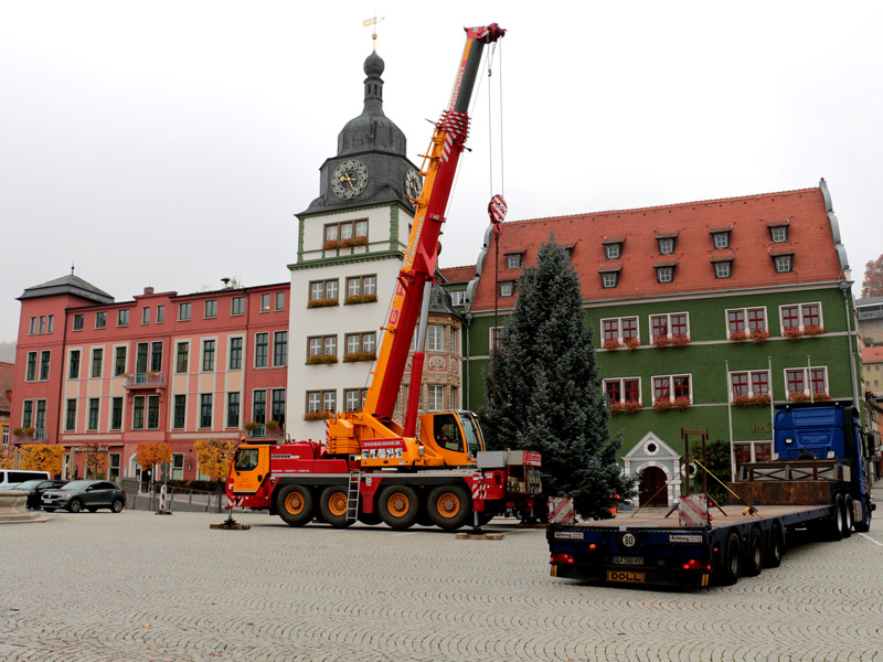 Die Blautanne wurde von den Mitarbeitern des städtischen Bauhofes am Freitag aufgestellt. Foto: Tom Demuth