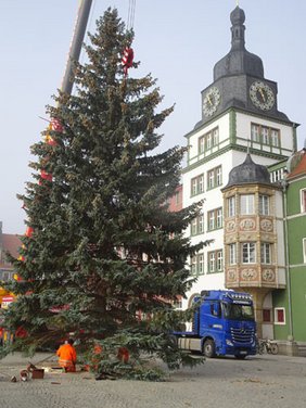 Mitarbeiter des Bauhofes beim Aufstellen des Weihnachtsbaumes vorm Rathaus. Foto: Frank M. Wagner