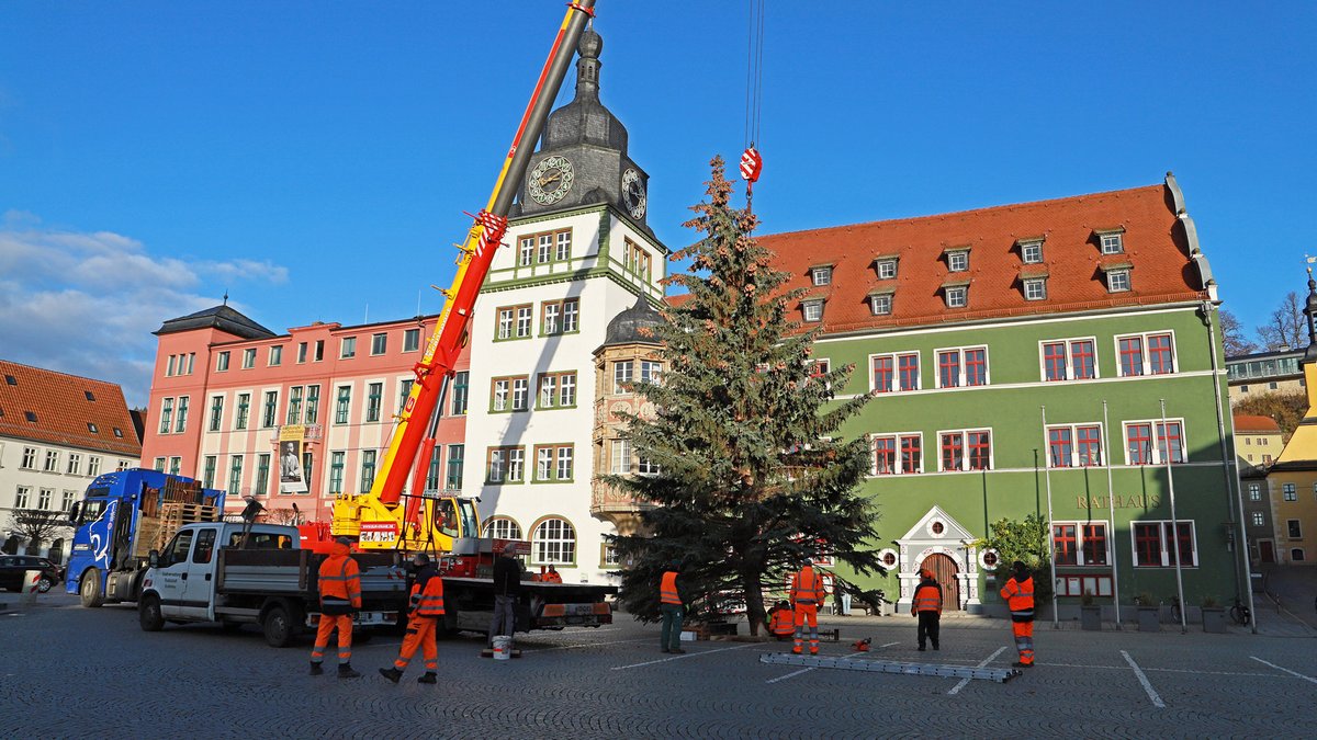 Heute Vormittag wurde die Blautanne auf dem Rudolstädter Marktplatz gestellt. Foto: Tom Demuth