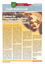 Amtsblatt 21/2012 vom 12. Dezember 2012