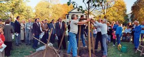  Das Foto zeigt die feierliche Pflanzaktion vom 03. Oktober 1990. (Foto: Wilfried Heinze)