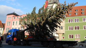 Kranarbeiten mit dem Weihnachtsbaum auf dem Markt in Rudolstadt im Jahr 2020. Foto: Tom Demuth