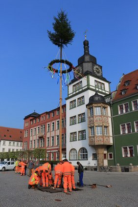 Maibaum schmückt den Rudolstädter Marktplatz.