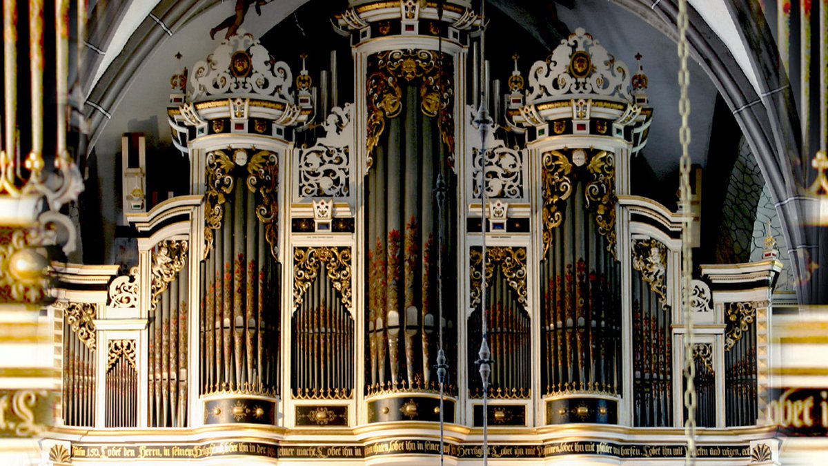 Foto: Orgelverein – Verein zur Förderung der Kirchenmusik in Rudolstadt e. V.