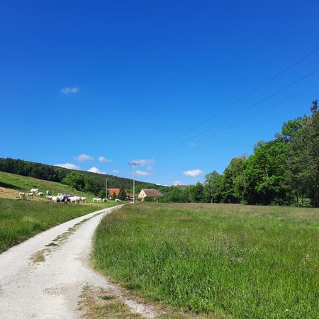 Feldmuehlenweg 1. Bauabschnitt